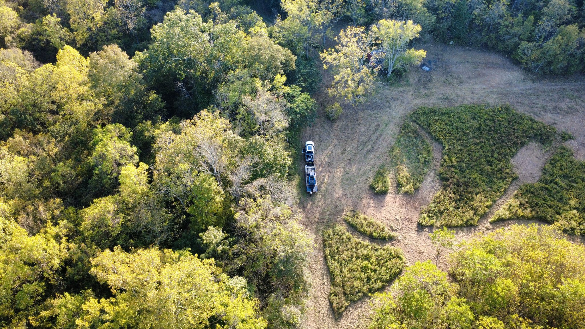 Land clearing and forestry mulching in Northern Kentucky
